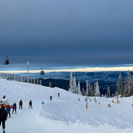 Lemag * Jahorina